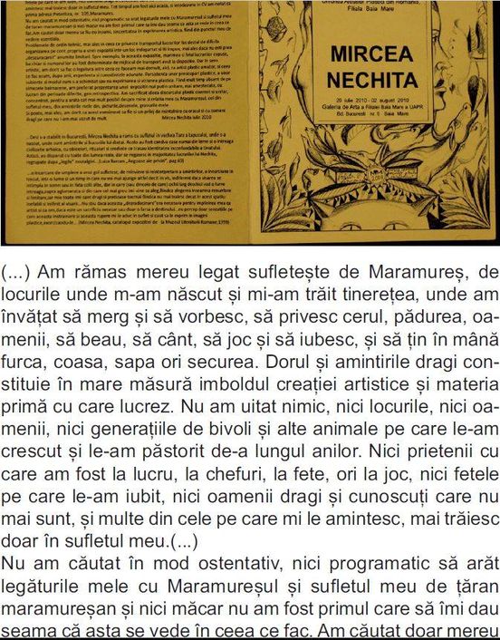 Fragmente din albumul "Mircea Nechita, Drumul spre artă-Supravietuirea in artă” pag. 227