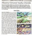 SIMONA VASILIU CHINTILA - facsimil Ziarul Financiar - Ziarul de duminica, 07.12.2007, articol de Ioana Vlasiu