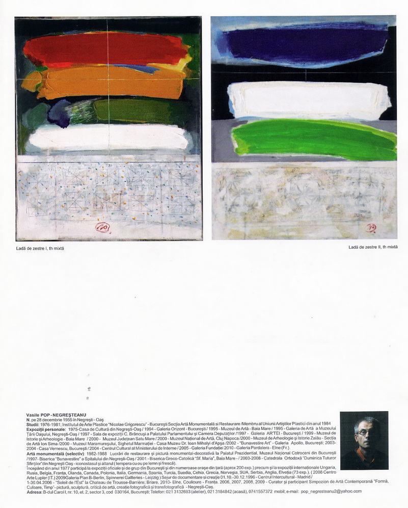 VASILE POP NEGRESTEANU in Catalogul Expozitiei "abstract" de la Galeriile de arta Focsani Vrancea oct 2010