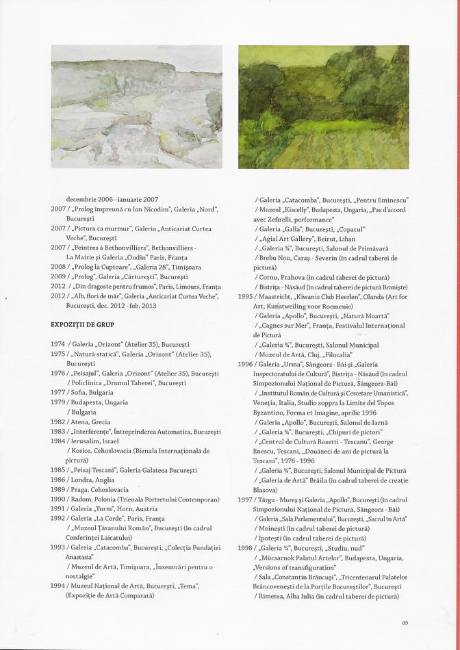 Horea PASTINA - CV din Catalog expozitie Sala Dalles 2013