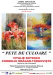 afis-expozitie "Pete-de-culoare" Vitalie Butescu si Ctin Dragan Targoviste 2014